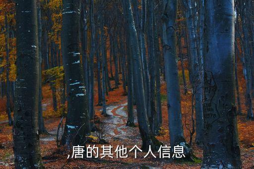 卢青,唐的其他个人信息