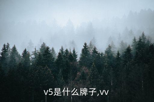 wvv5是什么牌子,vv