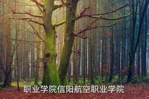 职业学院信阳航空职业学院