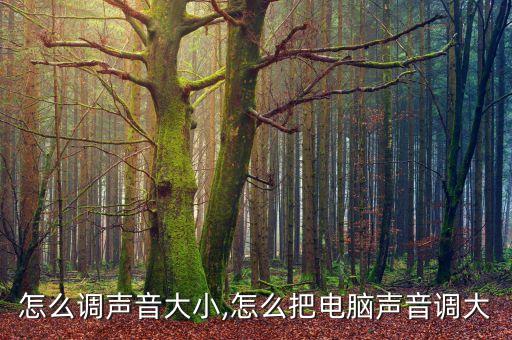 怎么调声音大小,怎么把电脑声音调大