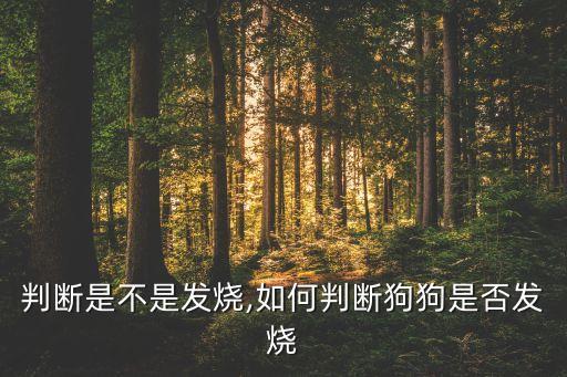 怎么判断是不是发烧,如何判断狗狗是否发烧?