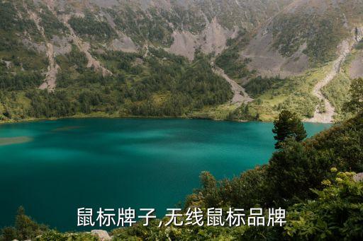 无限鼠标牌子,无线鼠标品牌