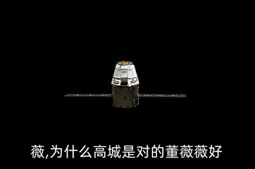 董薇薇,为什么高城是对的董薇薇好?
