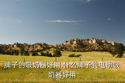 什么牌子的吸奶器好用,什么牌子的电动吸奶器好用?