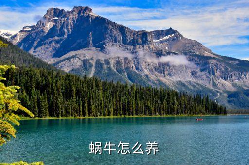 白宇蜗牛怎么养