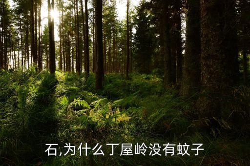 石,为什么丁屋岭没有蚊子