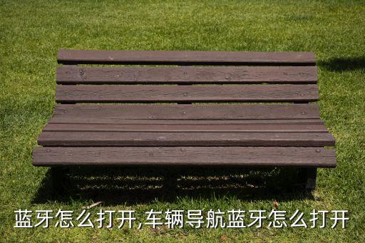 导航蓝牙怎么打开,车辆导航蓝牙怎么打开