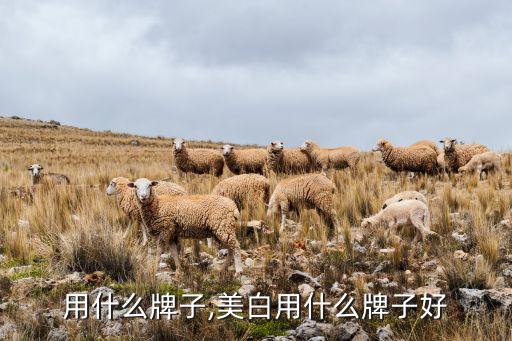 美白用什么牌子,美白用什么牌子好?