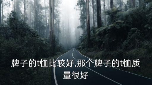 牌子的t恤比较好,那个牌子的t恤质量很好