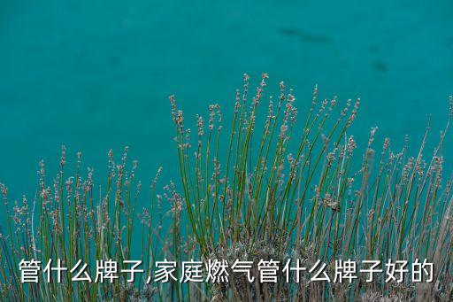 燃气管什么牌子,家庭燃气管什么牌子好的