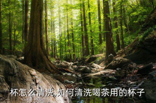 杯怎么清洗,如何清洗喝茶用的杯子
