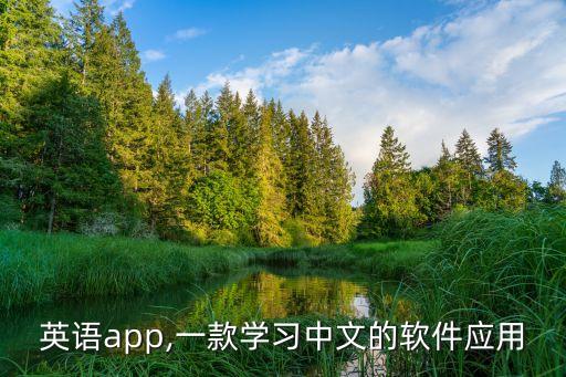 考研英语app,一款学习中文的软件应用
