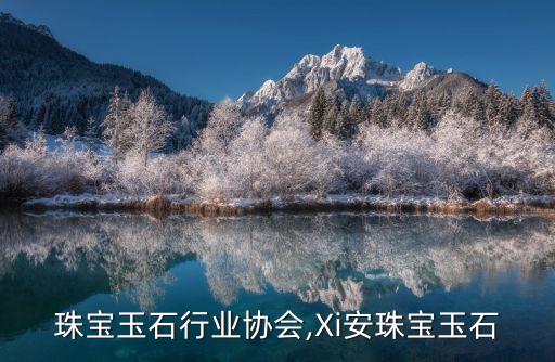 陕西珠宝玉石行业协会,Xi安珠宝玉石