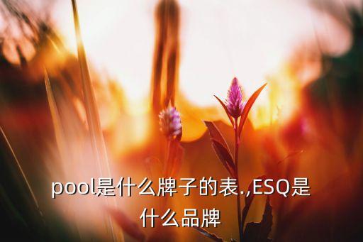 pool是什么牌子的表.,ESQ是什么品牌