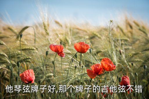 他琴弦牌子好,那个牌子的吉他弦不错