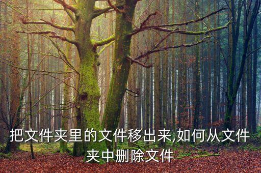 怎么把文件夹里的文件移出来,如何从文件夹中删除文件?