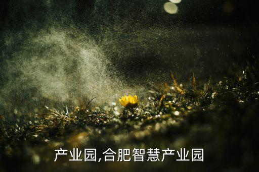 产业园,合肥智慧产业园