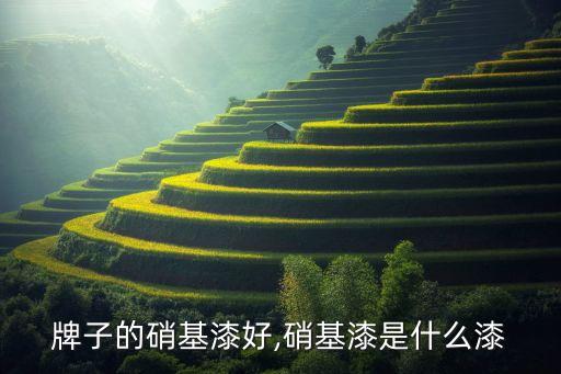什么牌子的硝基漆好,硝基漆是什么漆?