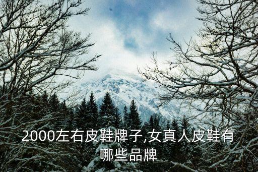 香港2000左右皮鞋牌子,女真人皮鞋有哪些品牌?