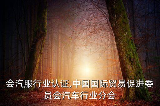 中促会汽服行业认证,中国国际贸易促进委员会汽车行业分会