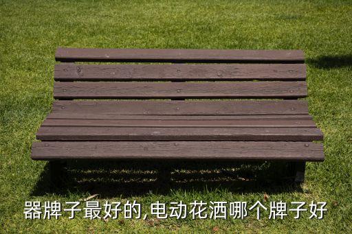 器牌子最好的,电动花洒哪个牌子好