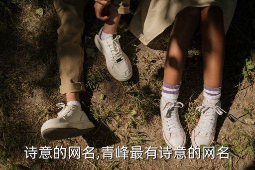 最有诗意的网名,青峰最有诗意的网名