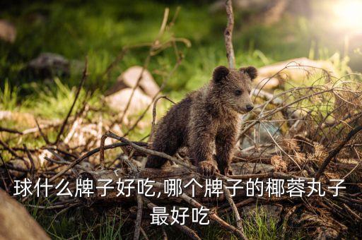 椰蓉球什么牌子好吃,哪个牌子的椰蓉丸子最好吃?