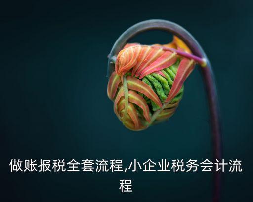 会计做账报税全套流程,小企业税务会计流程
