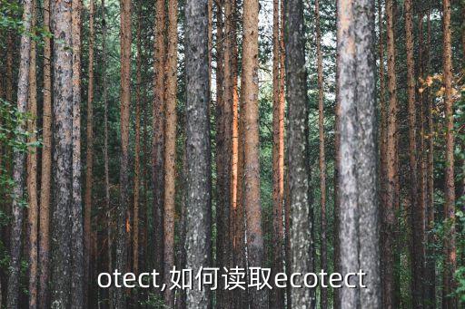 otect,如何读取ecotect