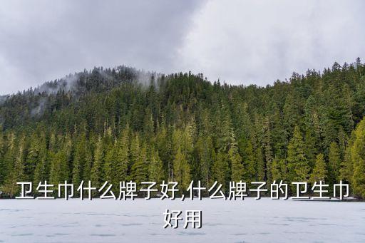 医用卫生巾什么牌子好,什么牌子的卫生巾好用?