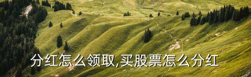 分红怎么领取,买股票怎么分红