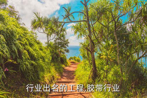 行业出名的工程,胶带行业