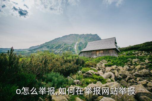 ofo怎么举报,如何在举报网站举报?