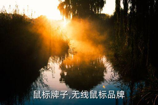 鼠标牌子,无线鼠标品牌