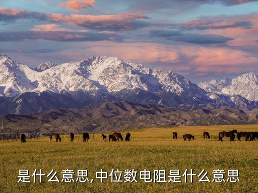 是什么意思,中位数电阻是什么意思