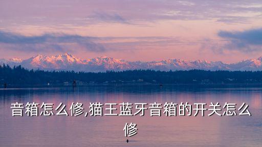 音箱怎么修,猫王蓝牙音箱的开关怎么修