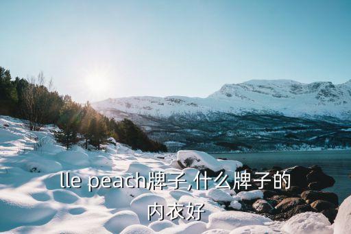 belle peach牌子,什么牌子的内衣好?