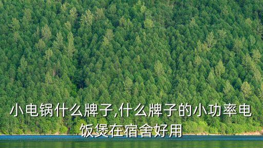 小电锅什么牌子,什么牌子的小功率电饭煲在宿舍好用