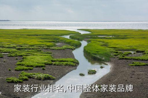 家装行业排名,中国整体家装品牌