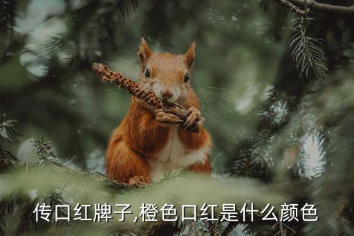 传口红牌子,橙色口红是什么颜色