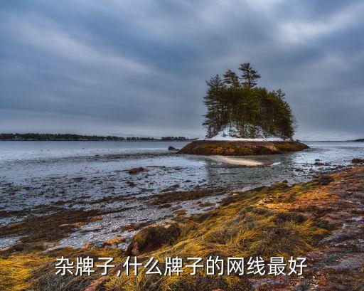 杂牌子,什么牌子的网线最好