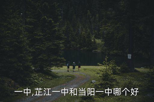 当阳一中,芷江一中和当阳一中哪个好?