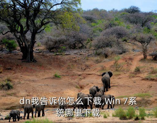 msdn我告诉你怎么下载,Win 7系统哪里下载?