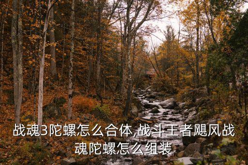 战魂3陀螺怎么合体,战斗王者飓风战魂陀螺怎么组装