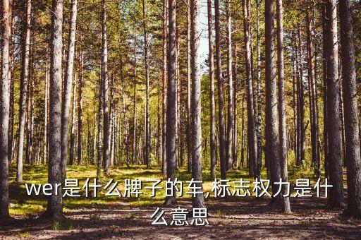 power是什么牌子的车,标志权力是什么意思?