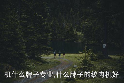 绞肉机什么牌子专业,什么牌子的绞肉机好?