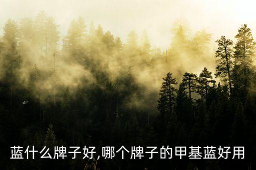 蓝什么牌子好,哪个牌子的甲基蓝好用