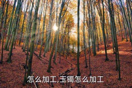 玉镯怎么加工,玉镯怎么加工?