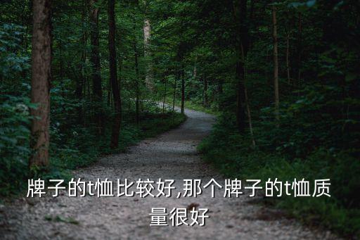 哪个牌子的t恤比较好,那个牌子的t恤质量很好