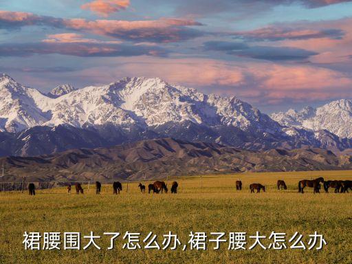 裙腰围大了怎么办,裙子腰大怎么办